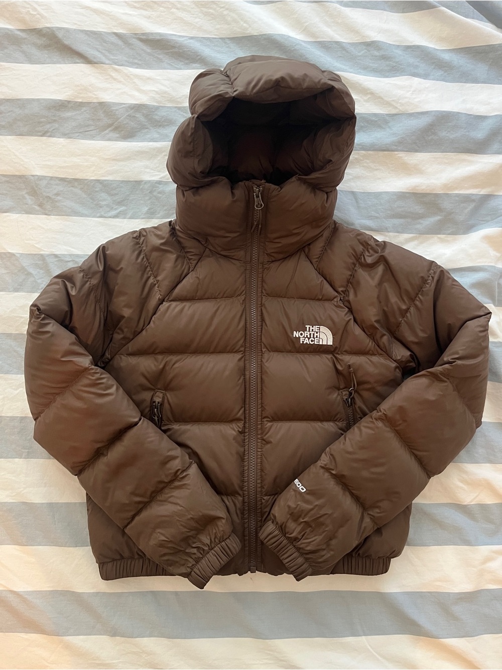 The North Face Hydrenalite Down Hoodie